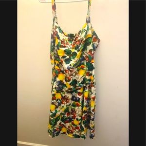 City Chic 22xL vintage fruit and blossom dress